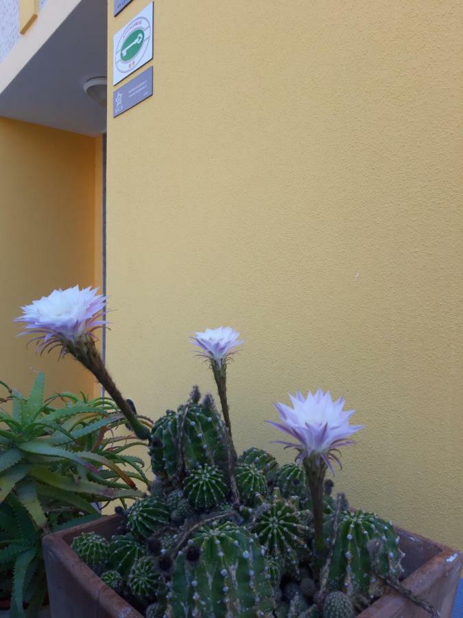 Mediterranean Concept House Hotel ลาสเปเซีย ภายนอก รูปภาพ