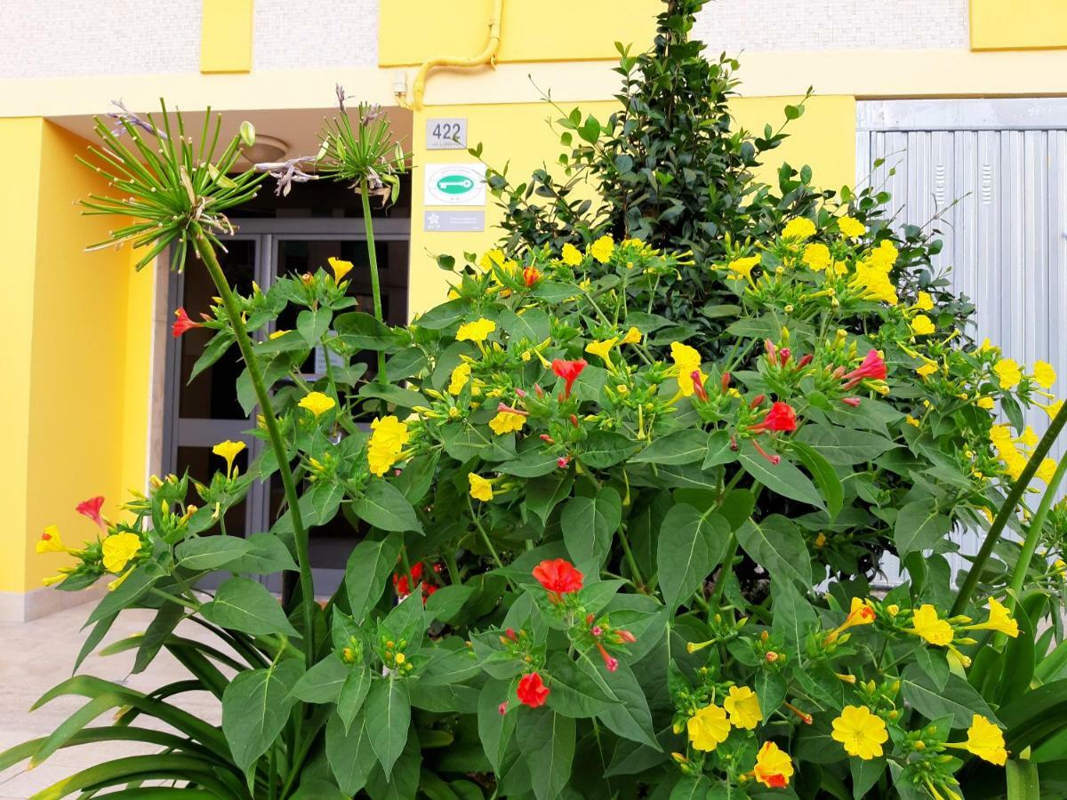 Mediterranean Concept House Hotel ลาสเปเซีย ภายนอก รูปภาพ